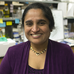 Extended Reality Initiative (XRI) Faculty Fellows Grant Image